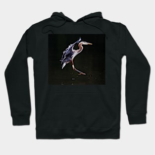 Great Blue Heron on the Wing Hoodie